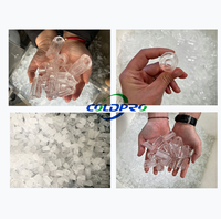 Machine à glace en tubes industrielle COLDPRO 3 tonnes pour la transformation alimentaire et les usines de produits de la mer