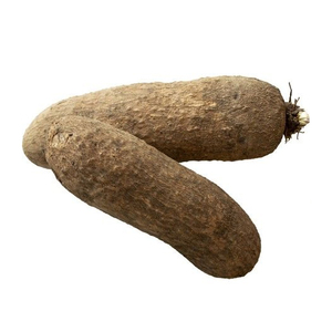 Ñames Frescos Orgánicos Cultivados en Granja, Naturales, Sin OMG, Ricos en Carbohidratos y Fibra, Cantidad a Granel para Exportación, Suministro Minorista, Agricultura de Primera Calidad - Product Image 2