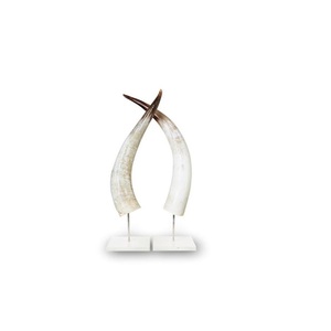 Par de bocina de vaca de alta calidad, regalos marrones y artesanías, bocina de búhos de tamaño personalizado, el mejor diseño, bocina con pulido - Product Image 3