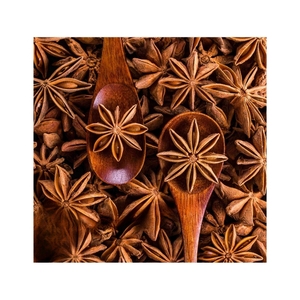 Ventes rapides : gousses d'anis étoilé séchées pour la fabrication de pot-pourri et l'aide à la digestion naturelle après les grandes repas - Product Image 2