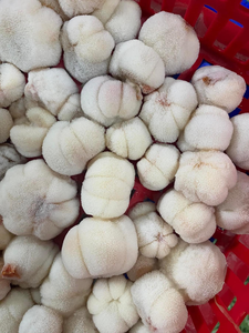 Mangoustan lyophilisé du Vietnam de haute qualité, saveur naturelle sucrée, prix de gros - Product Image 3