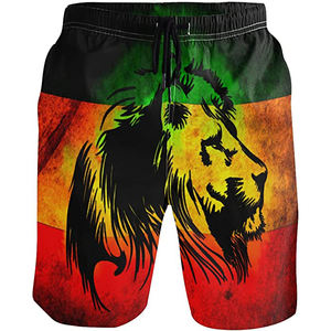 2023 personnalisé hommes entraînement Gym Shorts haute qualité Spandex/Polyester respirant taille élastique 220g imprimé Logo décontracté athlétique - Product Image 1