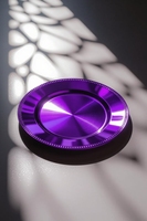 Assiette de présentation en acier inoxydable, écologique, durable, finition argentée, pièce maîtresse éblouissante pour les mariages, les banquets, Thanksgiving