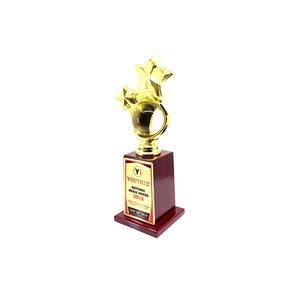 Trofeo de estrella de metal elegante de fabricación india por reconocer un rendimiento excepcional disponible al mejor precio - Product Image 2