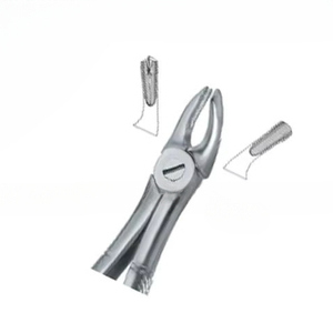 Forceps d'extraction dentaire Fig.39 R, manuel, acier inoxydable de haute qualité, certifié CE, logo personnalisé, instruments dentaires - Product Image 6