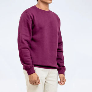 Sudaderas de Invierno Personalizadas para Hombre, Doble Capa, Felpa Gruesa, 100% Algodón, Ecológicas, Impresión Puff, Logotipo Personalizado OEM - Product Image 4