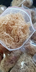 การทำเจลมอสทะเลกับสาหร่ายทะเลสีทองต้นมอส Eucheuma cottonii ขายเป็นกลุ่มพร้อมคำสั่งซื้อจำนวนมากจากผู้จัดจำหน่ายในเวียดนาม - Product Image 3