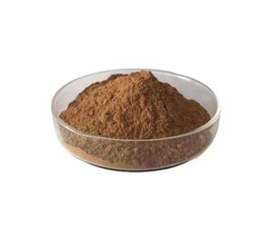 Kantkari Solanum Xanthocarpum Plant <b>Extract</b> - Product Image 4
