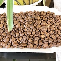 Grains de café Arabica Offre Spéciale à bas prix Fournisseur importé Produits délicieux torréfiés originaux de Son La