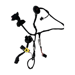 Faisceau de câblage de porte avant droite AUDI TT Série (8J3) (06>14) 8j0971030p - Product Image 1