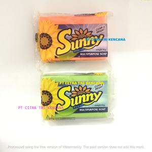 Zote เครื่องทำสบู่สองฟังก์ชั่นเครื่องทำสบู่ซักผ้ามะนาวสบู่ก้อน1000GR พนมเปญกัมพูชา - Product Image 4