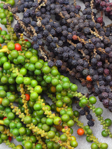 พริกไทยดำเครื่องเทศเดียวพริกไทยดำแห้ง - Product Image 3