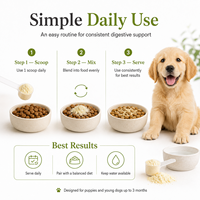 Formule vétérinaire : Poudre probiotique pour chien, prébiotiques, postbiotiques, riche en protéines, sans céréales, pour la santé intestinale et un soin digestif doux