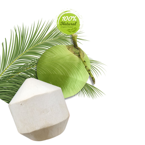 Farine de noix de coco pelée diamant frais fabriqué à partir de coquille mettant en évidence le processus naturel - Product Image 2