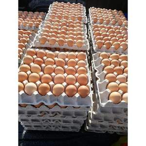 VENTA DE HUEVOS DE GALLINAS FRESCOS PRECIO DESCUENTO - Product Image 2