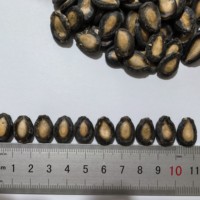 Graines de pastèque noire séchées au soleil de qualité supérieure / Graines de pastèque en vrac (idéales pour les collations et les garnitures) Graines de pastèque rouge