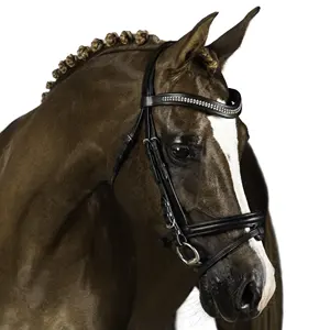 Brida de cuero de alta calidad para caballo con correas laterales - Tamaño y logotipo personalizables, precio competitivo, exportación a granel - Product Image 6
