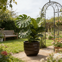 Ensemble de 4 pots de fleurs en céramique Mdj, design cannelé, gris foncé, pour l'intérieur et l'extérieur, jardinières pour la décoration de la maison, style moderne minimaliste