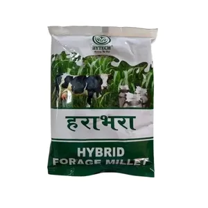 HYTECH Harabhara Graines de <span class=keywords><strong>millet</strong></span> fourrager hybride biologique multi-cultures, y compris les variétés vertes et rouges - Product Image 1