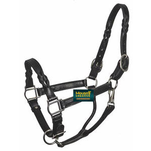 Design personnalisé anglais cheval licou véritable cuir de vache cheval serre-tête raccords en laiton qualité cheval équipement exportateur - Product Image 3