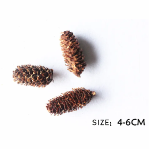 กรวยไพน์แห้งสำหรับตกแต่งคริสต์มาส,สินค้าคุณภาพสูงจากโรงงานเวียดนาม - Product Image 4