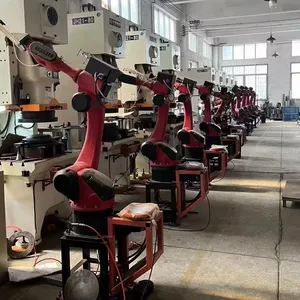 China bajo costo profesional automático 6 ejes Robot brazo mini Robot brazo