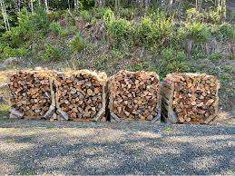 Bois de chauffage séché de haute qualité divers types, y compris le chêne hêtre frêne épicéa bouleau grumes - Product Image 6