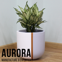 Pot de fleurs moderne en fibrociment, léger, écologique, aspect ciment, pour la maison, le jardin, le balcon, l'intérieur, l'extérieur, décoration, vente en gros