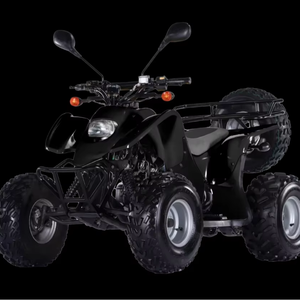 2025 Accès Xtremes Minii 100 Quadbike - Product Image 1