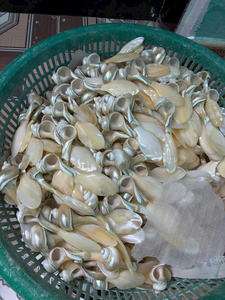 Cuillère en nacre naturelle exquise, cuillère en nacre magnifiquement fabriquée à la main, outil de salle à manger élégant et durable - Product Image 6