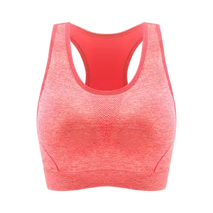 Sujetador deportivo de talla grande para mujer, ropa de gimnasio, secado rápido, logotipo personalizado - Product Image 3