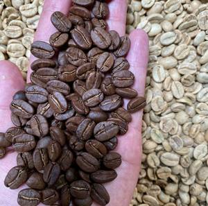 Grain de café de spécialité Arabica du Viet Nam vert torréfié et mélangé + 84 976727907 Contacter Mme Carolina - Product Image 6