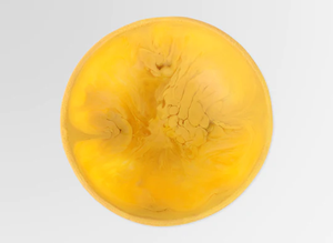 Cuencos de resina para comida o ensalada, cuencos pequeños de resina para servir Pasta y cereales - Product Image 3