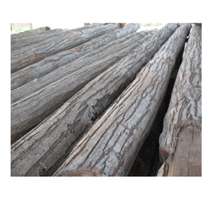 Troncos de castaño duraderos en venta a bajo precio, procedentes de fuentes para uso industrial y comercial de madera. - Product Image 2