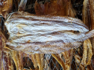 Proveedor de Pescado Lagarto Seco Dividido de Alta Calidad, Fabricante de Pescado Lagarto Seco Dividido Vietnam ANGLE - Product Image 4