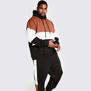 Vêtements de sport de luxe pour hommes 100% coton survêtements d'hiver col à capuche imprimé luxe Tech polaire motif solide écologique 2 pièces - Product Image 4