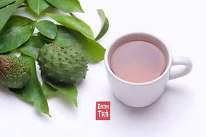 Hoja de Guanábana Seca 100% Natural / Hojas Secas Orgánicas de Vietnam en Bolsa para Adultos - Sra. Laura - Product Image 5