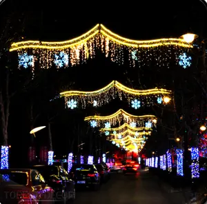 220V圣诞节日基督主题发光二极管排灯节装饰路灯装饰街道花式灯