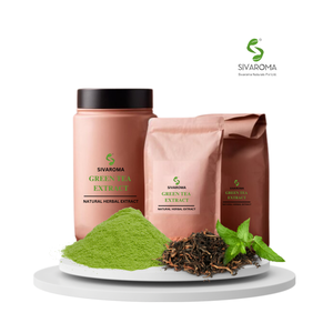 สารสกัดจากชาเขียวธรรมชาติสำหรับใช้ในเชิงพาณิชย์เหมาะสำหรับการดูแลส่วนบุคคลผลิตภัณฑ์เสริมอาหารและผลิตภัณฑ์เพื่อสุขภาพ - Product Image 2