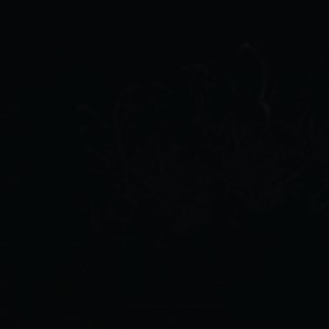 T-shirt personnalisé de haute qualité à double couche T-shirt graphique en coton T-shirts unisexes imprimés de taille personnalisée pour hommes - Product Image 5