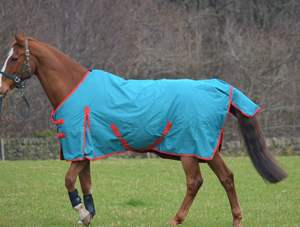 Hoja de lluvia ligera de 100g y cero 0g-Alfombra impermeable 600d Turnout Horse - Product Image 6