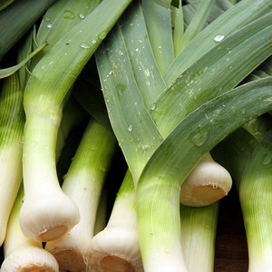 ผักต้นหอม: ก้านหรือก้าน Allium ampeloprasum คุณภาพดีเยี่ยมจากผู้จำหน่ายจำนวนมาก - Product Image 1