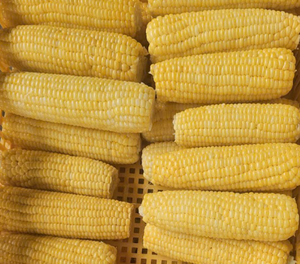 Vietnam Frozen Corn | Natural Sweetness | Non-GMO | Healthy Choice - Product Image 2