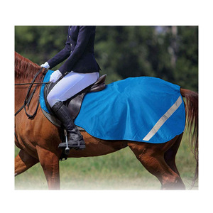OEM & ODM ม้าออกกำลังกายแผ่นพรมกันน้ำน้ำหนักเบา Turnout ผ้าห่มสำหรับขาย2022 - Product Image 2