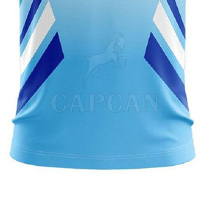 Conjuntos de Cricket Sublimados de Poliéster 100% de Alta Calidad Personalizables, Último Diseño, Ropa de Entrenamiento para Hombre con Logotipo de Marca Propia Capcon - Product Image 6