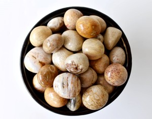 Atractivo Diseño, Color Amarillo, Múltiples Usos, Cristal Curativo, Rocas Fósiles en Bruto, Arte y Coleccionismo, Feng Shui, Pulido, India - Product Image 1