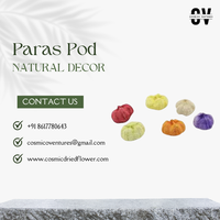 Rangkaian Bunga Kering Paras Pod Kualitas Premium Populer untuk Dekorasi DIY Pernikahan, Rumah, Acara Romantis, Kantor, Profesional, dan Elegan
