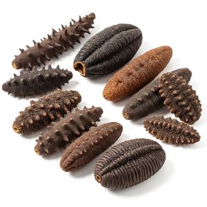 Concombre de mer séché de qualité supérieure, concombre de mer séché de qualité supérieure à vendre, fruits de mer sauvages séchés à prix compétitif - Product Image 6