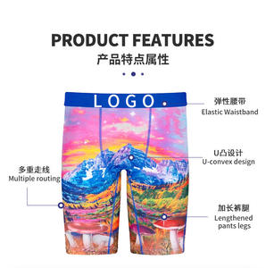 Offre Spéciale américain Designer marque Ethikaed sous-vêtements Shorts grande taille Sport caleçon imprimé graphique requin hommes longue jambe Boxer - Product Image 6