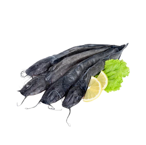 Meilleur prix pour le poisson-chat congelé, disponible en 1 kg - 2 kg - Product Image 1